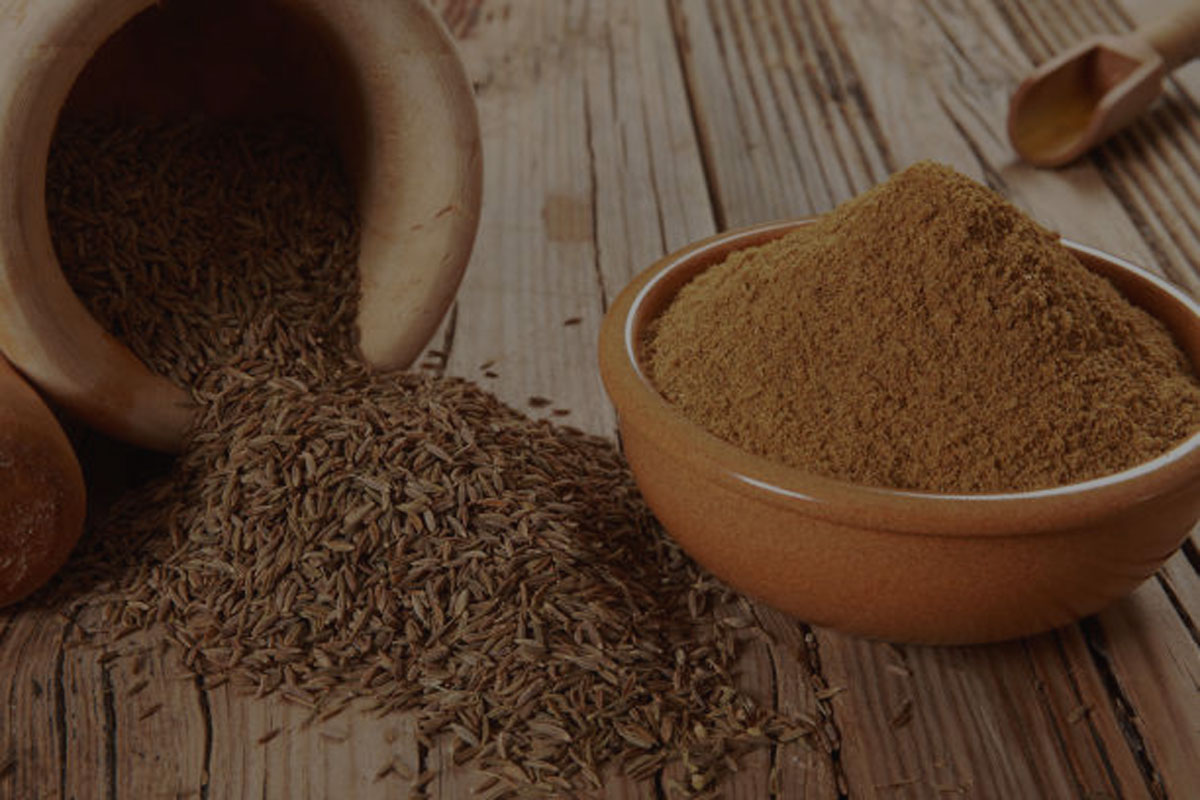 red chilli manufacturers in india