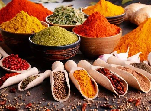list of masala companies in india