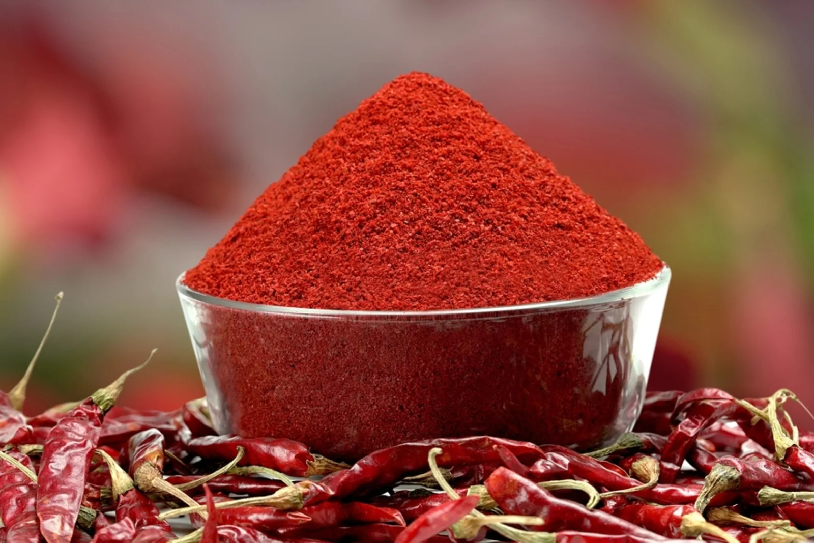 elaichi manufacturers in india